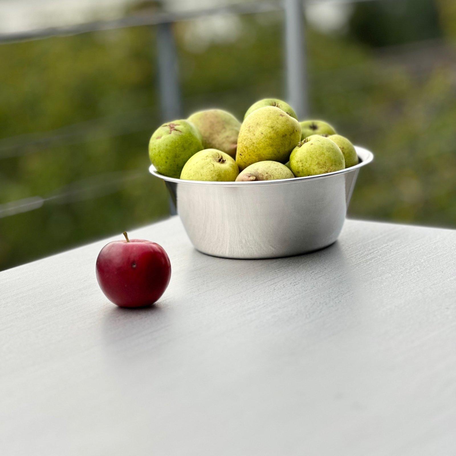 Unterstützerbild quadratisch